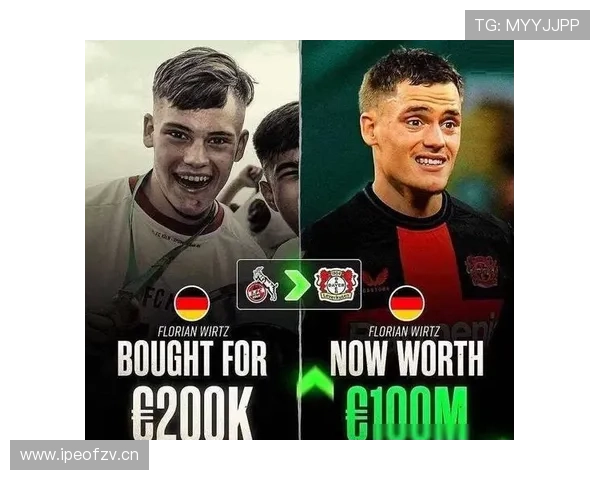 维尔茨上限是否被夸大？潜力与实际表现差距解析